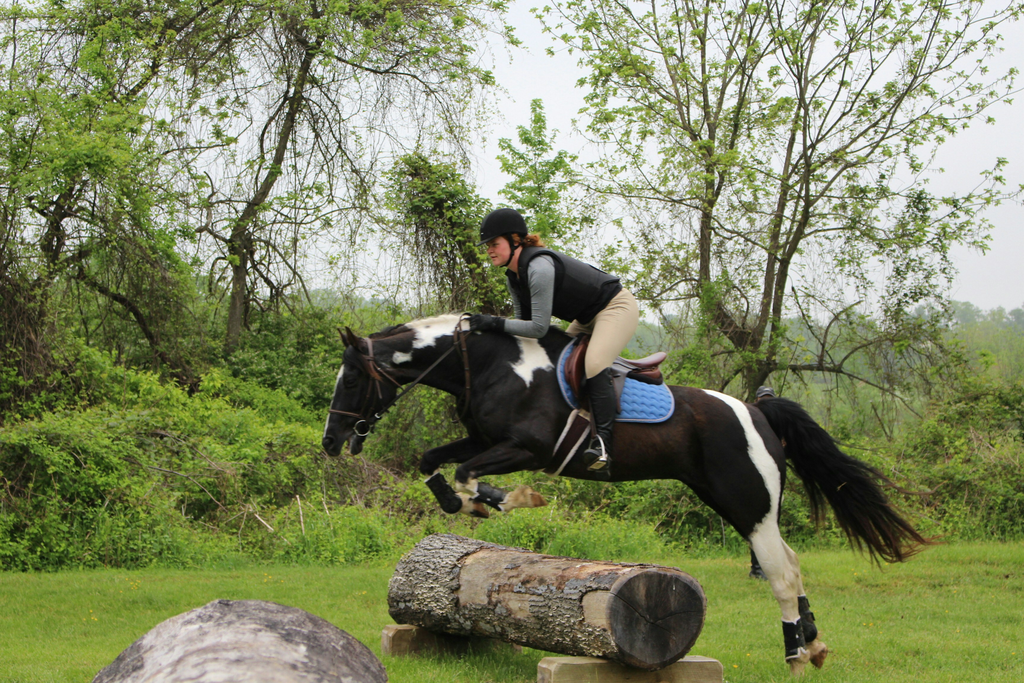 Equestrian Canada English Rider Levels Evaluator Training Workshop